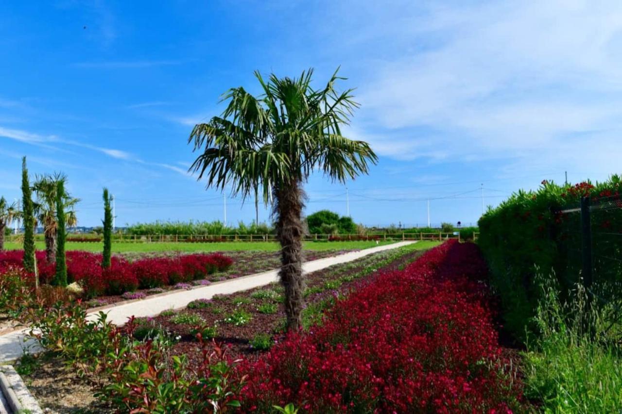Domaine Juan Flore Antibes Kültér fotó
