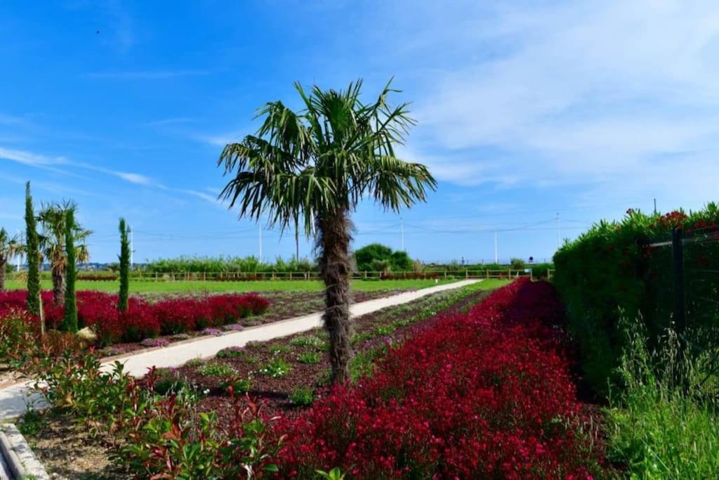 Domaine Juan Flore Antibes Kültér fotó